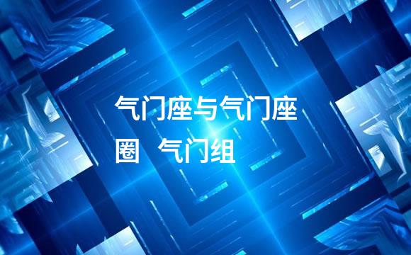 气门座与气门座圈   气门组